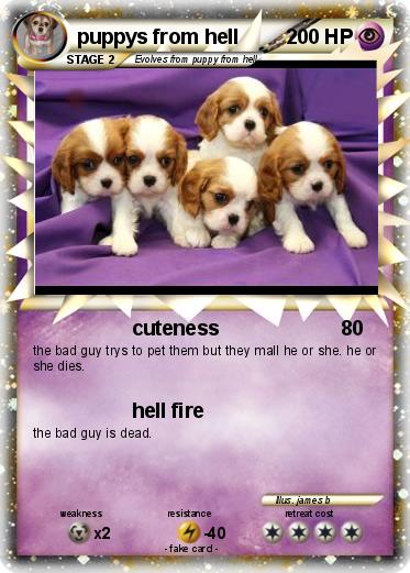 Pokemon puppys from hell