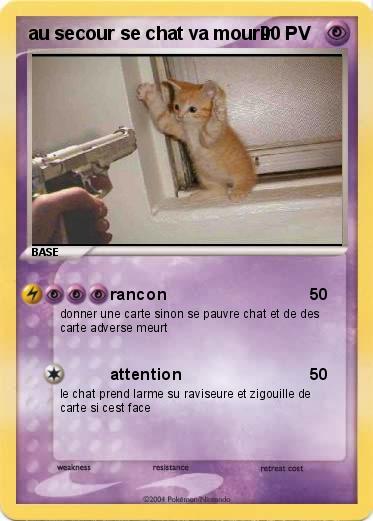 Pokemon au secour se chat va mourir