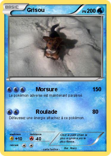 Pokemon Grisou