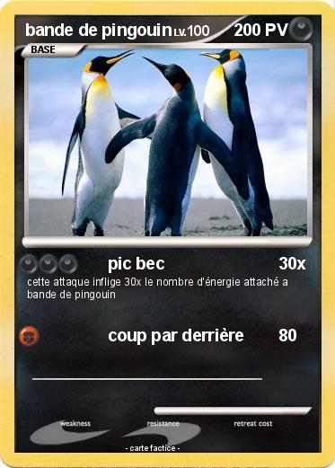 Pokemon bande de pingouin