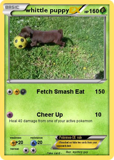 Pokemon whittle puppy