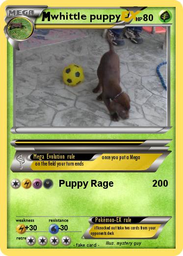 Pokemon whittle puppy