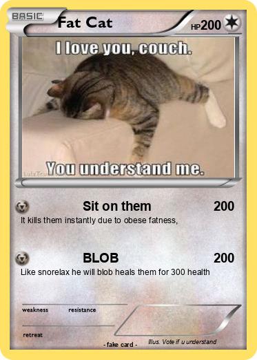 Pokemon Fat Cat