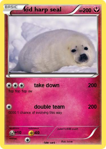 Pokemon kid harp seal
