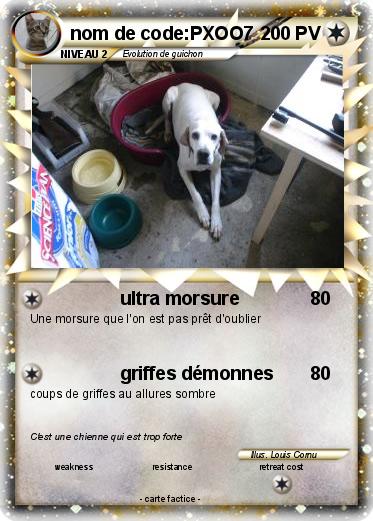 Pokemon nom de code:PXOO7