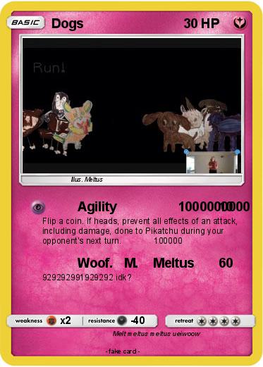 Pokemon Dogs