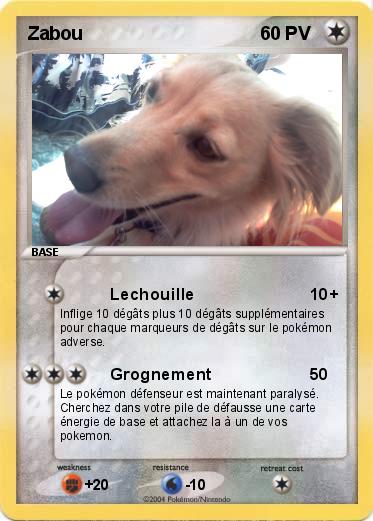 Pokemon Zabou