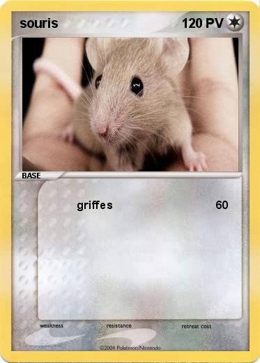Pokemon souris