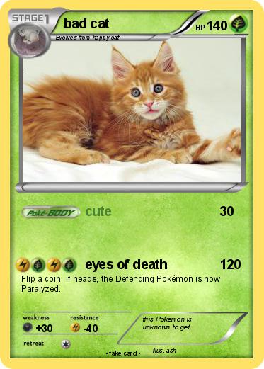 Pokemon bad cat