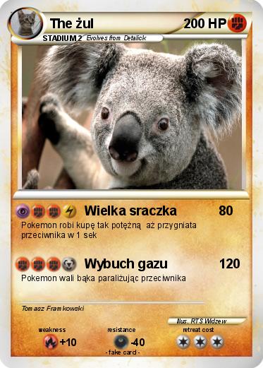 Pokemon The żul