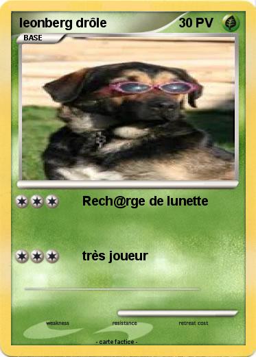 Pokemon leonberg drôle