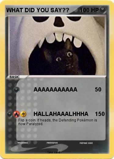 Pokemon WHAT DID YOU SAY??