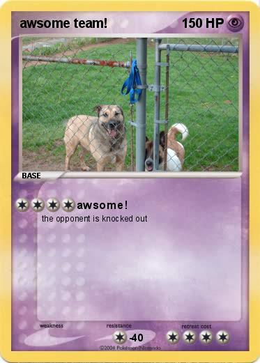 Pokemon awsome team!