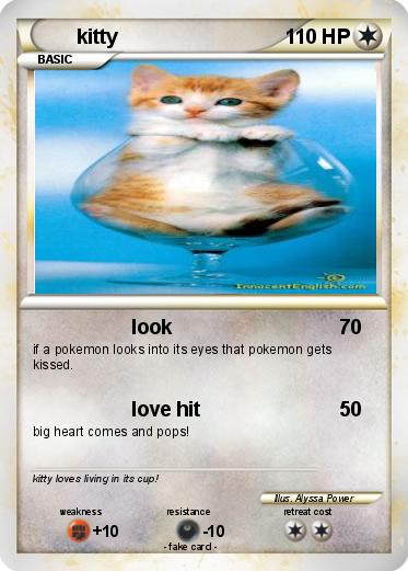 Pokemon kitty