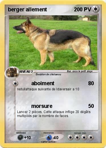 Pokemon berger allement