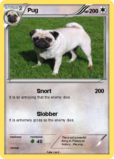 Pokemon Pug