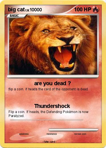 Pokemon big cat