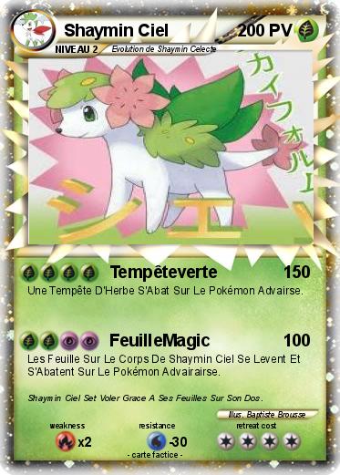 Pokemon Shaymin Ciel