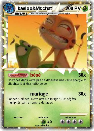 Pokemon kaeloo&Mr.chat
