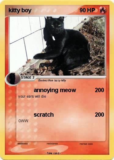 Pokemon kitty boy