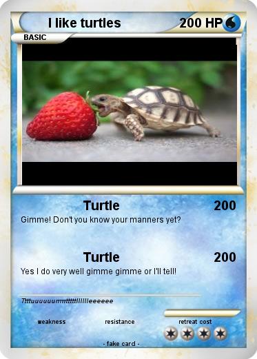 Pokemon I like turtles