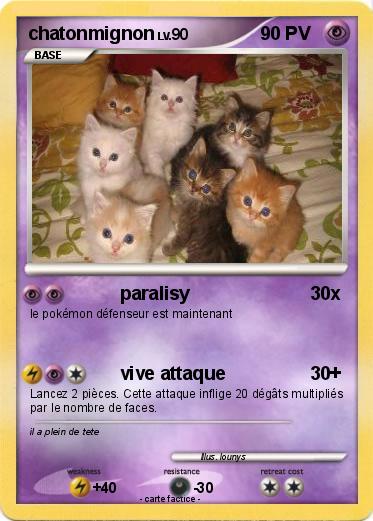 Pokemon chatonmignon