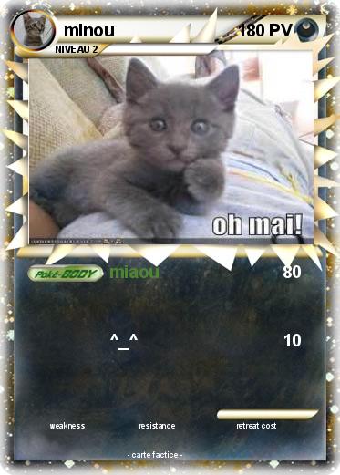 Pokemon minou