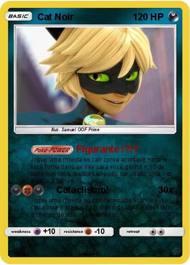 Pokemon Cat Noir