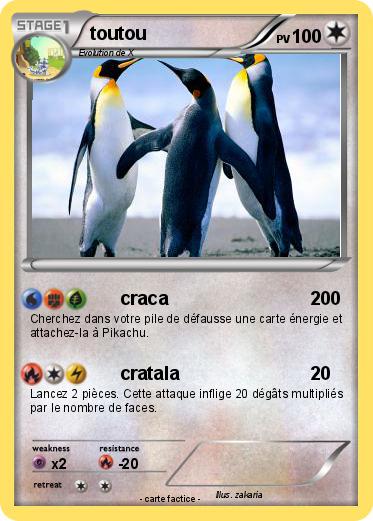Pokemon toutou