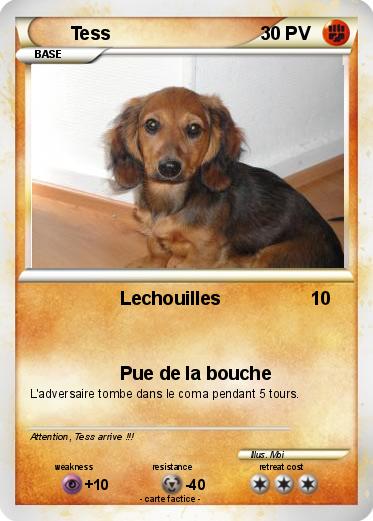 Pokemon Tess