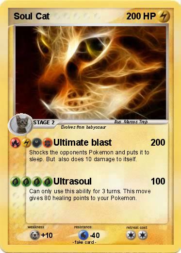 Pokemon Soul Cat