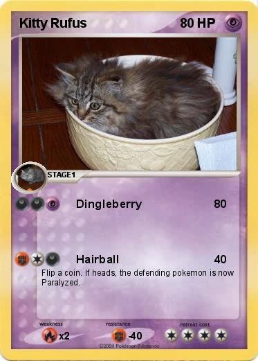 Pokemon Kitty Rufus
