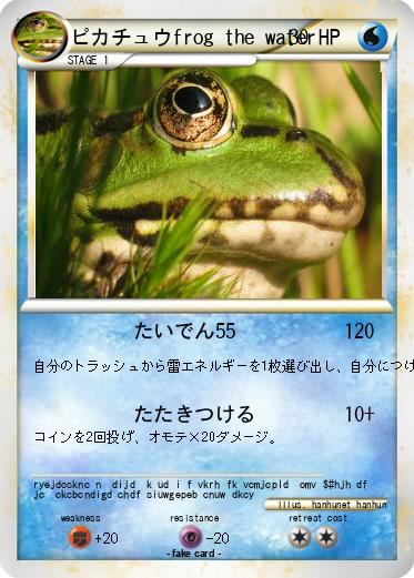 Pokemon ピカチュウfrog the water