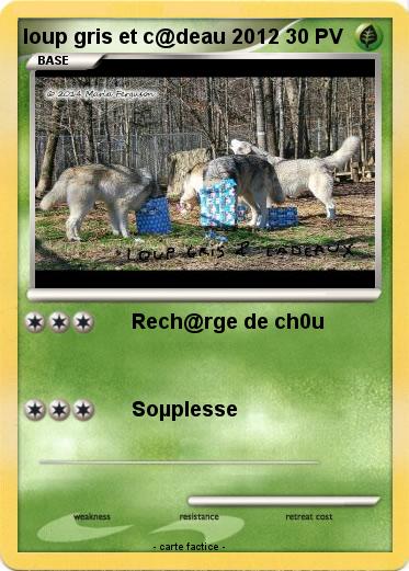 Pokemon loup gris et c@deau 2012