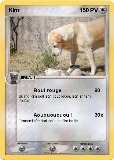 Pokemon Kim 