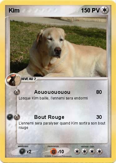Pokemon Kim