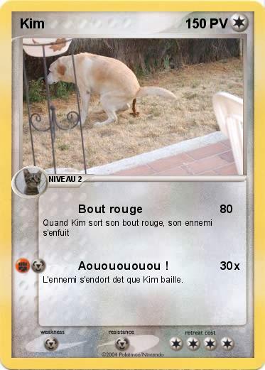 Pokemon Kim 