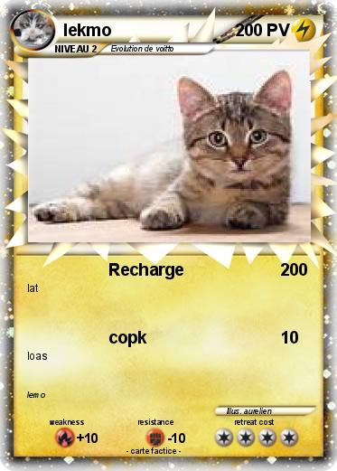 Pokemon lekmo
