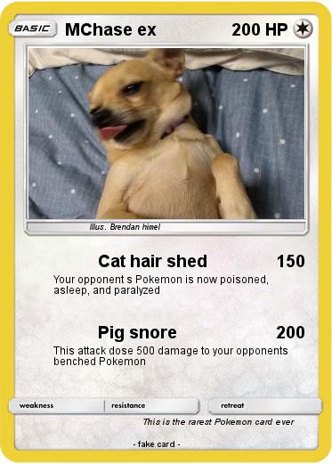 Pokemon MChase ex