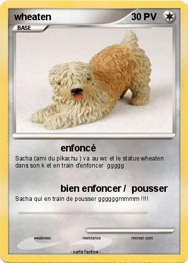 Pokemon wheaten