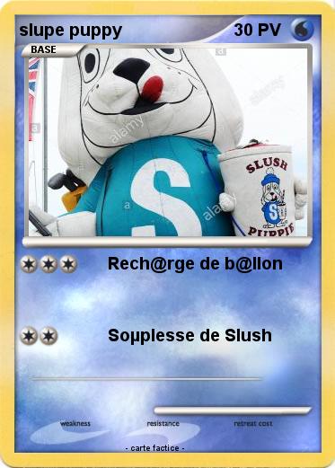 Pokemon slupe puppy