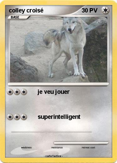 Pokemon colley croisé