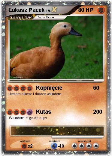 Pokemon Łukasz Pacek