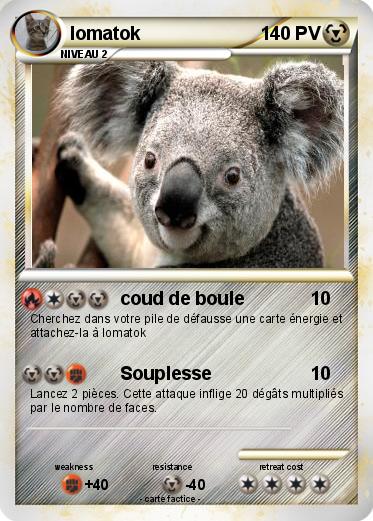 Pokemon lomatok