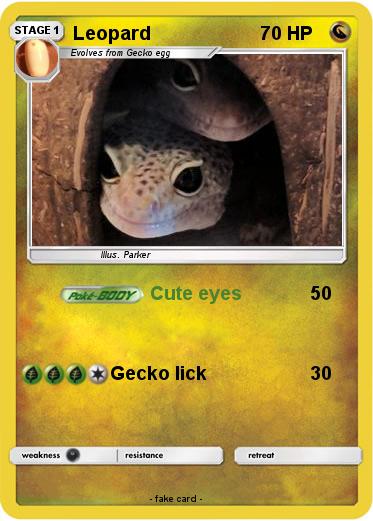 Pokemon Leopard