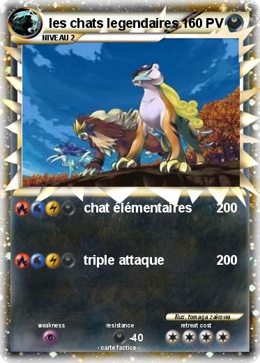 Pokemon les chats legendaires