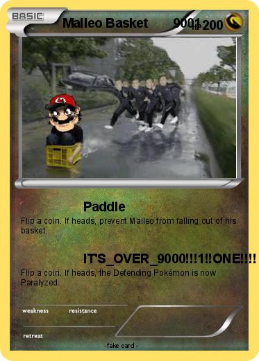 Pokemon Malleo Basket       9001