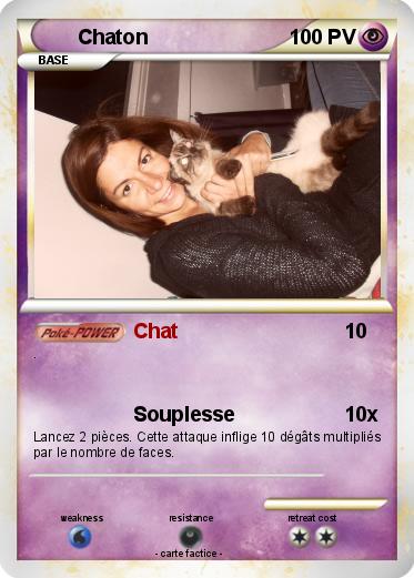Pokemon Chaton
