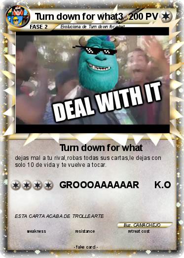 Pokemon Turn down for what3