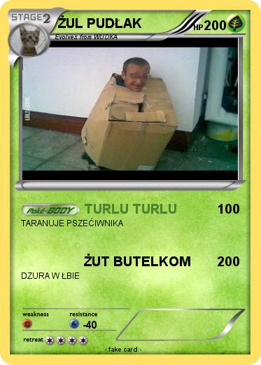 Pokemon ŻUL PUDŁAK